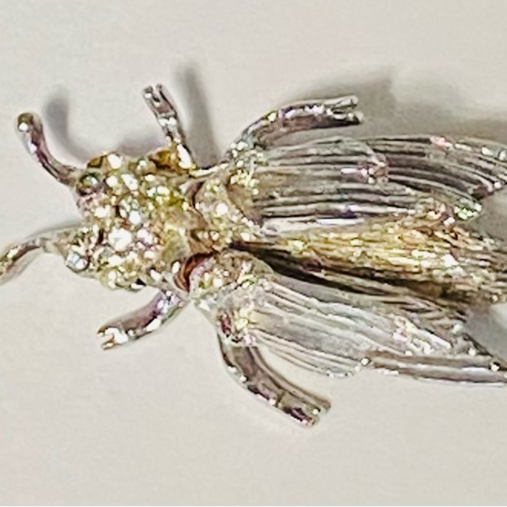 Ornate Silver Beetle Brooch